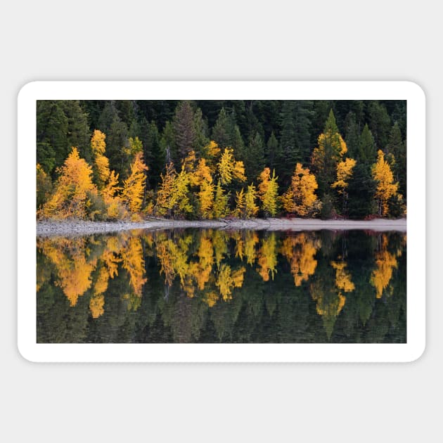 Autumn Reflections Sticker by Whisperingpeaks